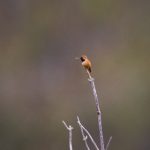 998992开奖结果最新公布,速来查看中奖详情 480oi3