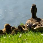 991991开奖中心官方平台权威发布 5b630bms