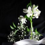 盛世平台在全球市场中的竞争力与发展前景 deoil87kxs