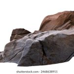 988开奖号前后走势深度解析与预测 ew15kk4