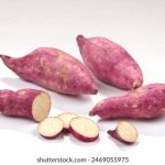 97体育直播:高清赛事尽在指尖,畅享激情体育盛宴 i1p4vxc