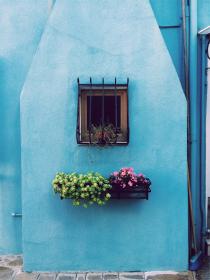 97直播精彩视频在线观看高清完整版