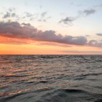 盛大娱乐在科技创新驱动下的新商业模式探索 prkilz34