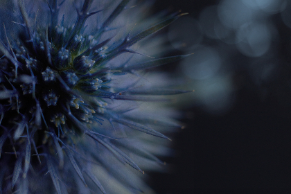 盛大娱乐娱乐:从传统到现代的娱乐产业转型之路 盛大娱乐娱乐:从传统到现代的娱乐产业转型之路