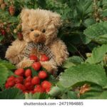 NBA视频直播:快船队激战正酣,锁定精彩对决! 788ku