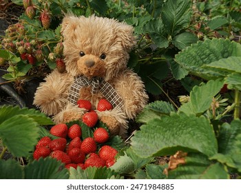 NBA视频直播:快船队激战正酣,锁定精彩对决! NBA视频直播:快船队激战正酣,锁定精彩对决!