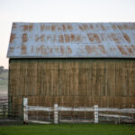 NBA赛事直播软件推荐:畅享高清流畅篮球盛宴 lcn8m49a4